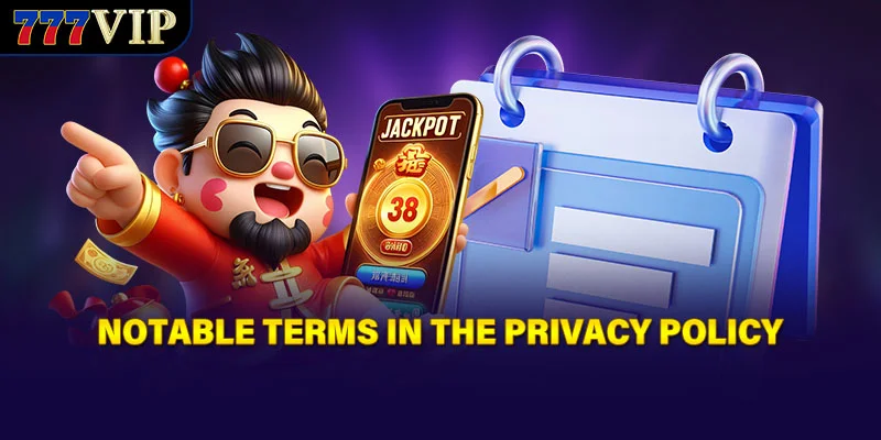 Notable terms in the Privacy Policy