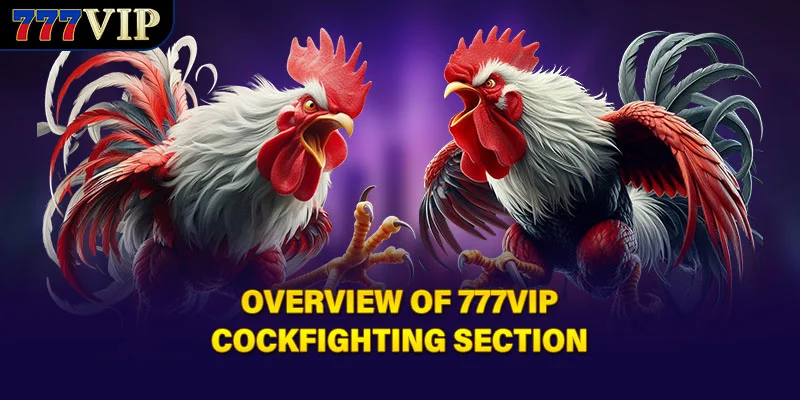 Overview of 777VIP cockfighting section