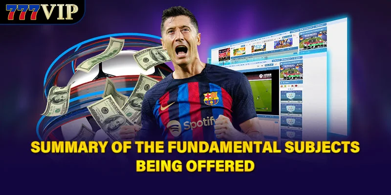 Summary of the fundamental subjects being offered