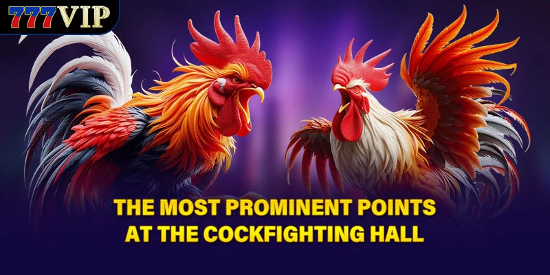 The most prominent points at the cockfighting hall